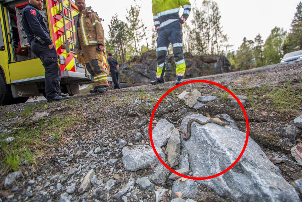 Årsaken til utforkjøringen er ikke kjent, men det var tørr asfalt og fine føreforhold på stedet.
