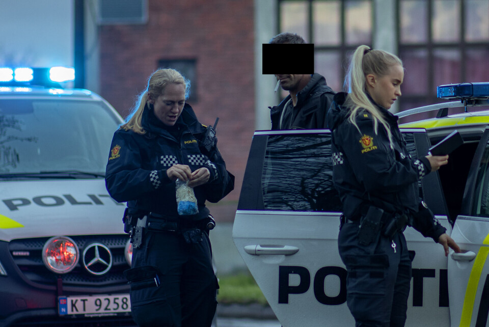 Smadret BMW-en i trestamme - mistenkt for fyllekjøring
