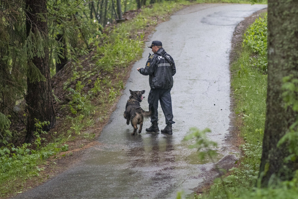 To pågrepet etter knivran på Konnerud - alle mindreårige