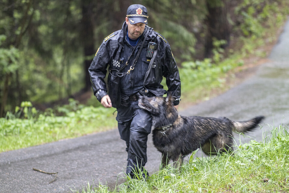 FANT KNIVEN: Politets hundepatrulje søkte i området. Kniven ble funnet i et skogholt i nærheten av der selve ranet skjedde.