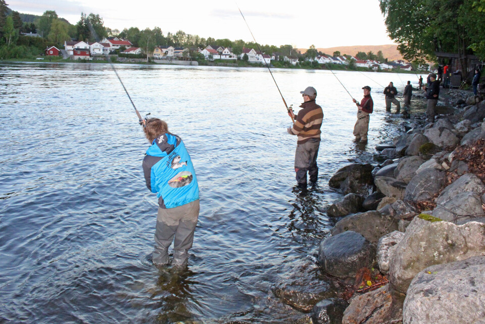 KØFISKE: Her fra «grevlingen» på blå sone i Hellefossen.