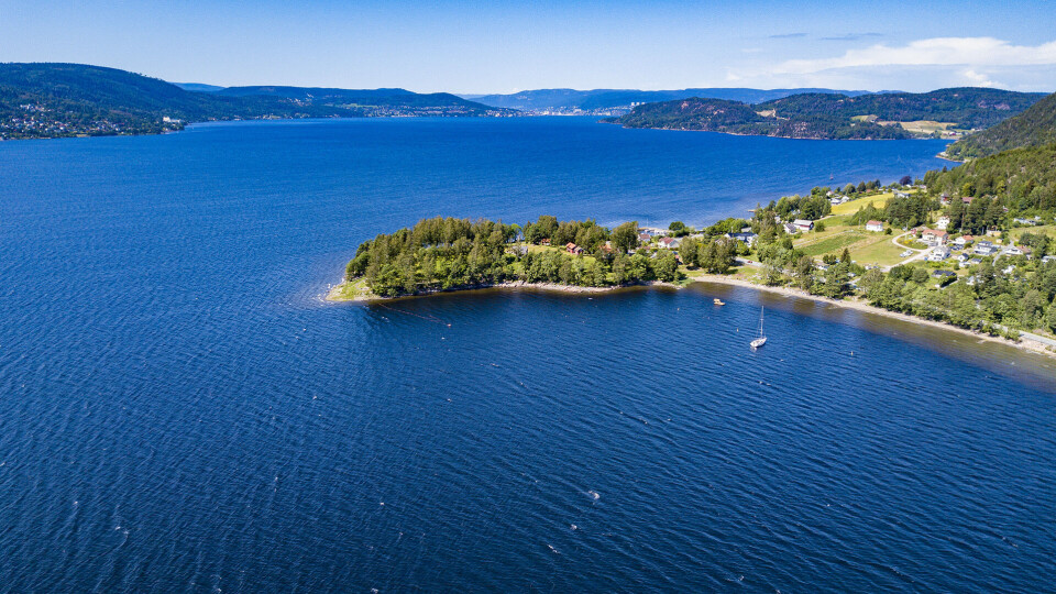 IDYLLISK: Med Drammensfjorden som boltreplass har man mange muligheter, som her i Jerdalsbukta, hvor seilskuta ankret opp for bading og kos.