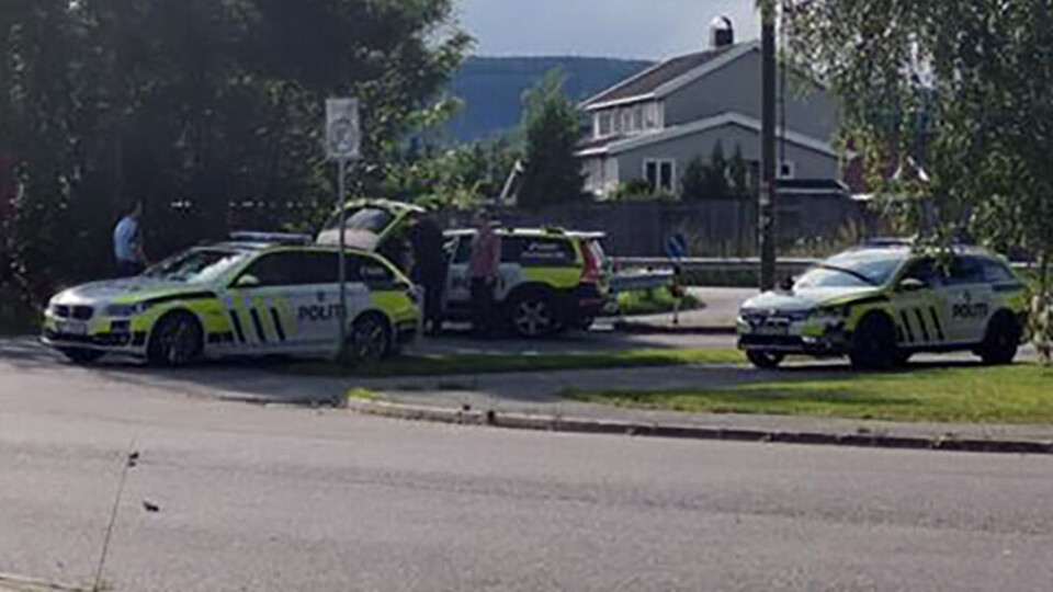 PÅGREPET: Her har de to mennene akkurat blitt pågrepet av tre politipatruljer. FOTO: LESERBILDE
