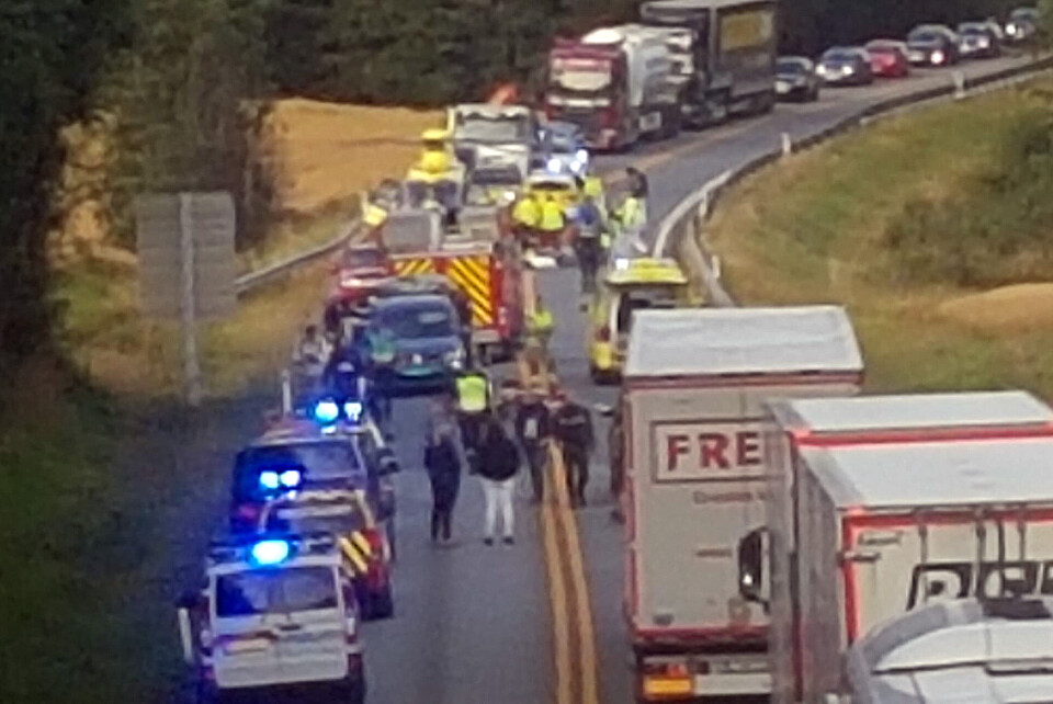 E134: Motorsykkel kolliderte med elg - én person kritisk skadd