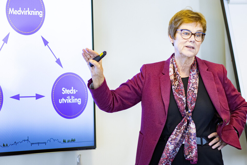 DESENTRALISERING: Lokale tjenester er i fokus i ny storkommune, forteller prosjektrådmann Elisabeth Enger, øverste administrative sjef fra 1.1.2020.
