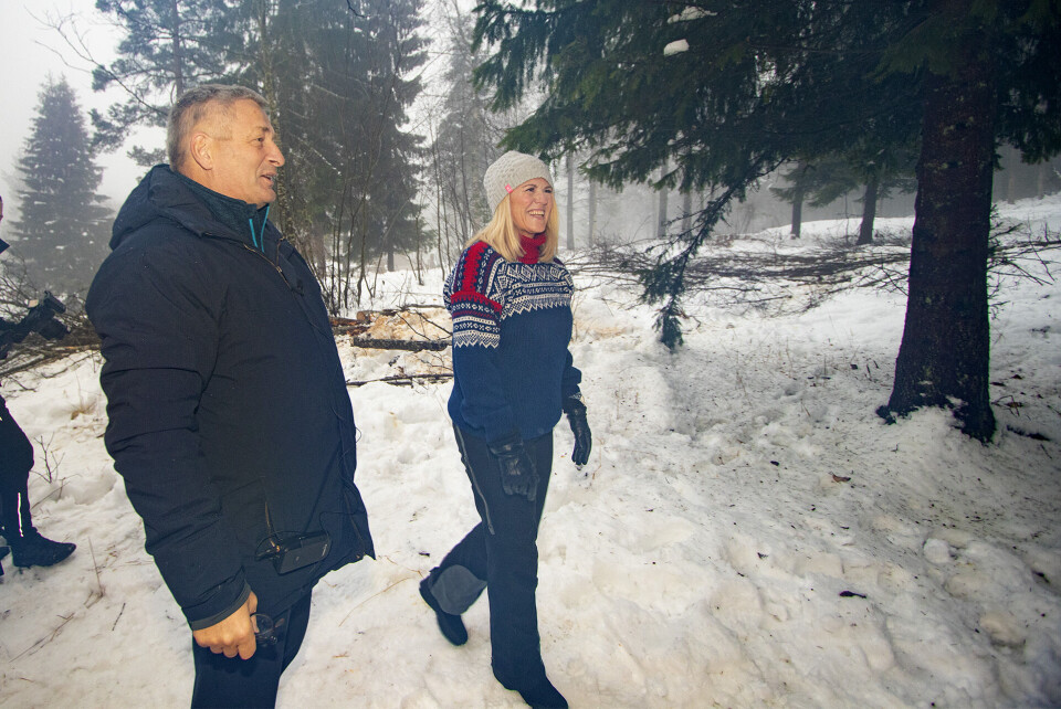 GOD STEMNING: Julegranfellingen i marka byr alltid på god stemning, denne gangen var også påtroppende ordfører Monica Myrvold Berg med på den tradisjonsrike seansen for første gang.