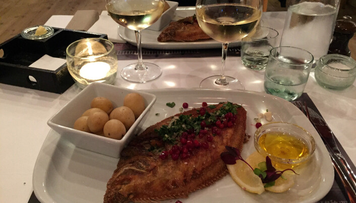 Den var henlagt til Skagen Fiskerestaurant, miljøriktig lokalisert helt ute på kaikanten. Og jammen var det en liten perle vi fant. Det var i kaldeste laget for uteservering, men i et lunt og trivelig lokale i 2. etasje fant vi både trivsel og ro, i en umiskjennelig atmosfære av dansk vennlighet og kjøkkenfaglig dyktighet. Den var henlagt til Skagen Fiskerestaurant, miljøriktig lokalisert helt ute på kaikanten. Og jammen var det en liten perle vi fant. Det var i kaldeste laget for uteservering, men i et lunt og trivelig lokale i 2. etasje fant vi både trivsel og ro, i en umiskjennelig atmosfære av dansk vennlighet og kjøkkenfaglig dyktighet.