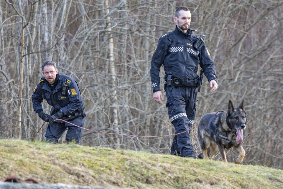 HUNDESØK: Her er går politiets hundepatrulje sporsøk.
