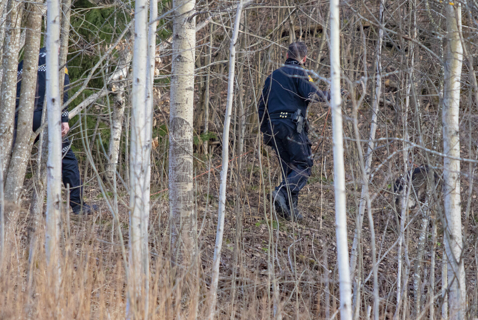 Mann pågrepet for Røde Kors-tyveriet etter klappjakt i skogen