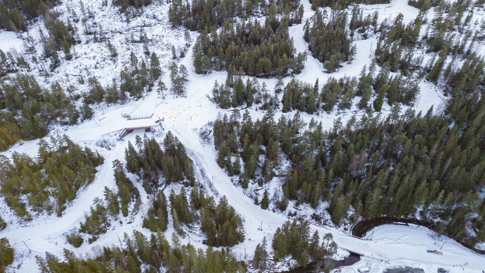I SKOGEN: I den delen av worldcup-løypa som benyttes i skogen overfor stadionområdet er det fritt fram for publikum å ferdes.