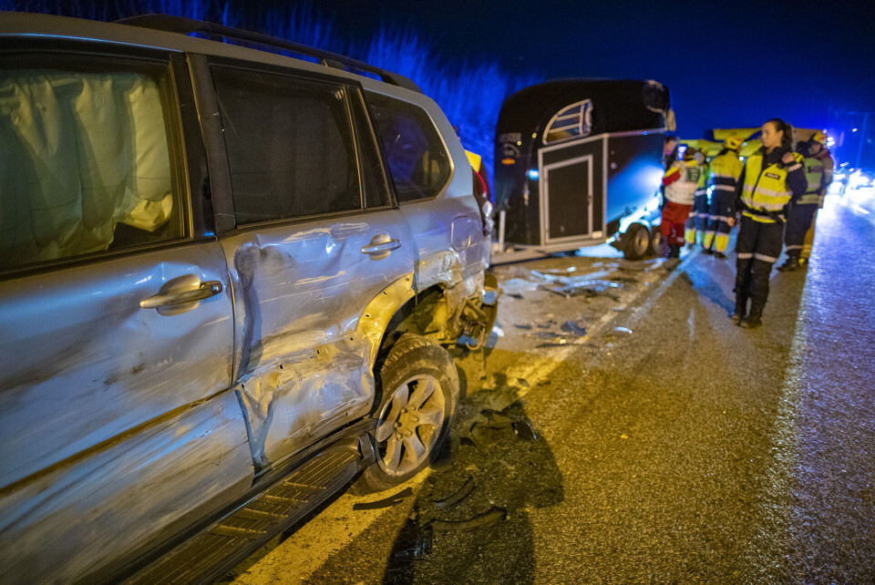 E18: Lastebil traff hestehenger på veiskuldra - hest måtte avlives