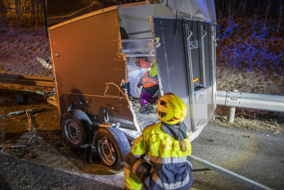 Både ambulansepersonell og mannskaper fra brannvesenet bisto på stedet, og det hele gikk rolig for seg inne i hestehengeren. Hesteeieren er varslet om hendelsen.