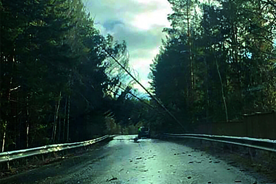 NORDLYSVEIEN: Tre over veien. (FOTO: LESERBILDE)