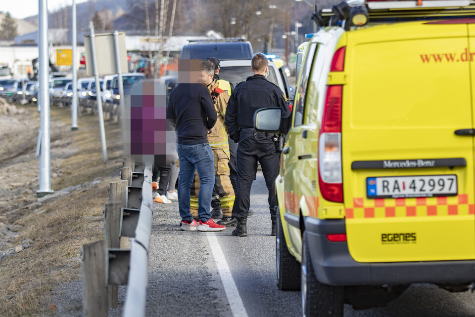 Øyenvitne så hunden ble slått før den angrep sine egne