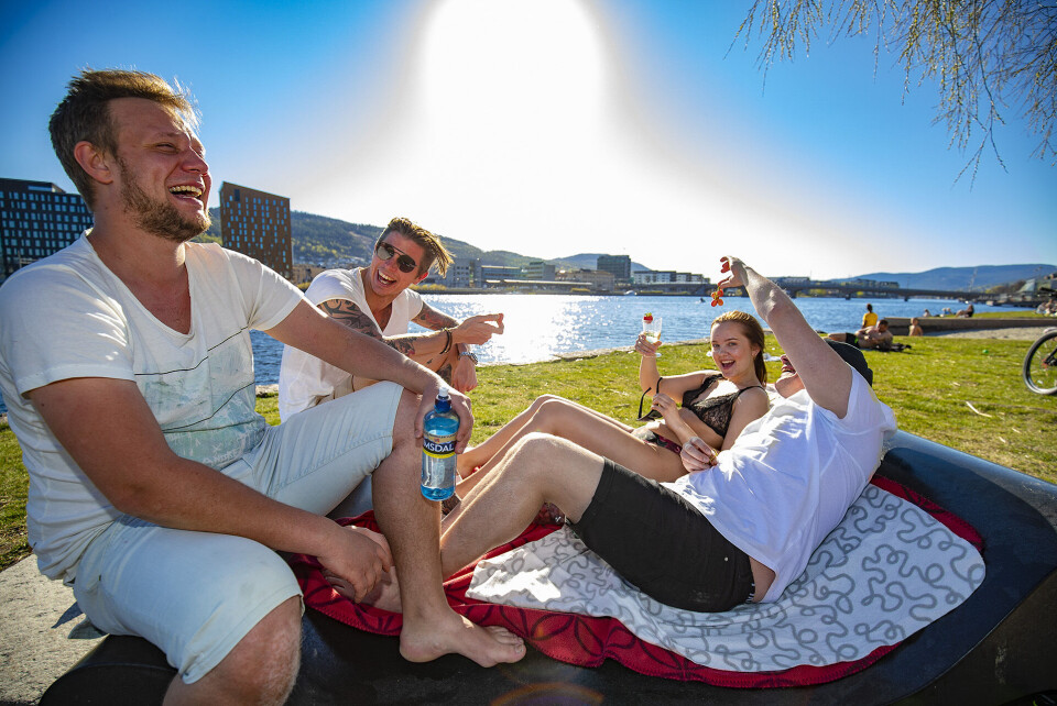 NØT SOLA: Fra venstre Bjørn Roar, Robin, Thea og Stian koste seg med både druer, jordbær og noe sprudlende i glasset på Bragernes Strand onsdag ettermiddag..