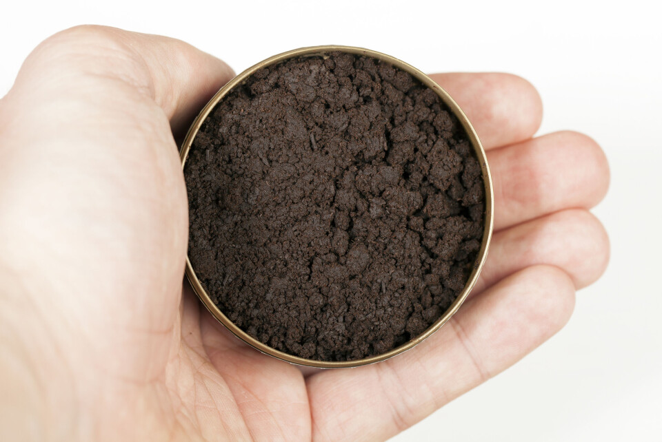 Svenske-karantenen har ført til snus-boom på nett