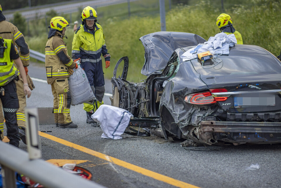 To rumenere i jaguar ble alvorlig skadd i E134-ulykken