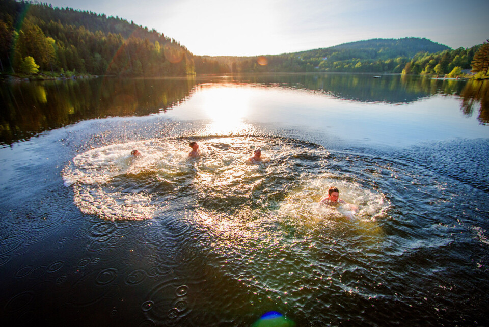 BADEIDYLL: Her fra stupebrettet på Stordammen.