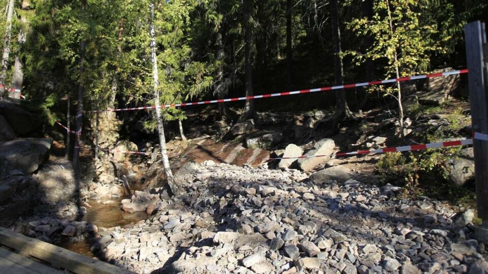 ARKIVFOTO: JOAKIM FJELDLI / DRM24
