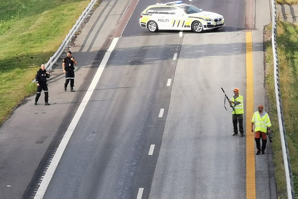 Urbanisert elg avlivet etter å ha sperret E18 for trafikk