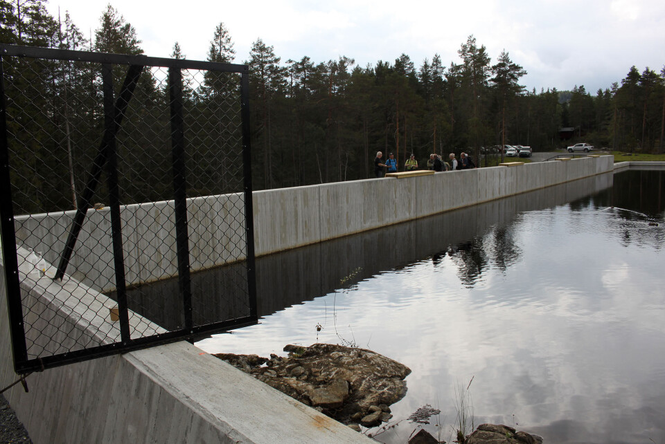 HOENSVANNET: Har vært tappet ned under bygging. Nå er hyttefolket glade over å ha fått vannspeilet tilbake.