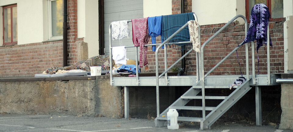 Tiggerne tilbake for fullt: - Nesten like mange som før