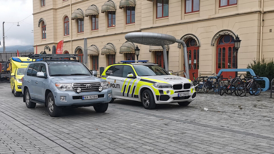 OPPBUD: Flere væpnede politipatruljer rykket ut.