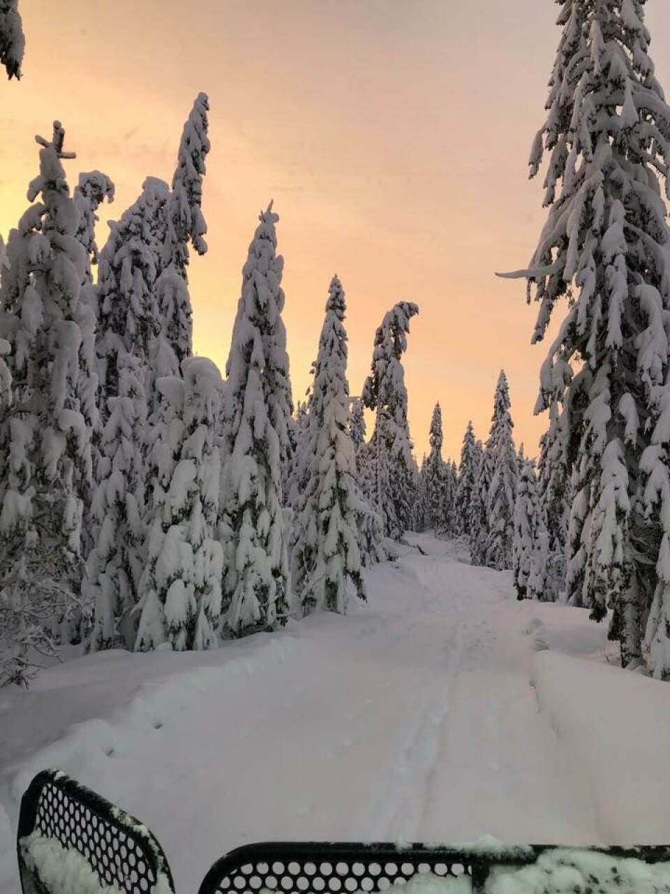 Bilde fra lille nyttårsaften tatt øst for Skimtvann. (FOTO: DRAMMEN KOMMUNE)