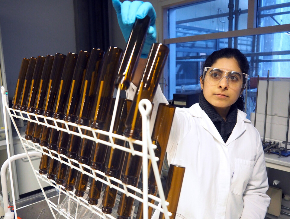 Sharada (30) fra Drammen har doktorgrad i fiskehelse (!)