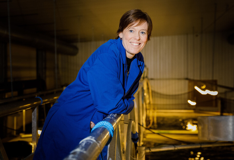 NYTTIG: Seniorforsker ved Nofima, Åsa Maria Espmark, karakteriserer Sharadas avhandling og resultater som veldig viktig og direkte matnyttig for både forskningsmiljøet og bransjen. (FOTO: TERJE AAMODT © NOFIRMA)