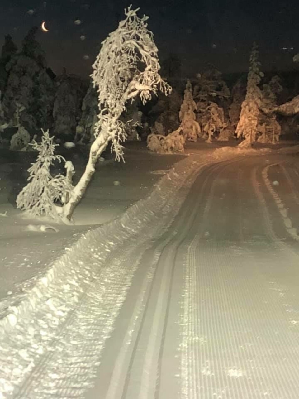 - Grillene er enkle, halve oljefatgriller med rist. Du må selv ta med ved eller grillkull, uttaler kommunen.Lørdagsmorgenstemning i Drammensmarka. (FOTO: DRAMMEN KOMMUNE)