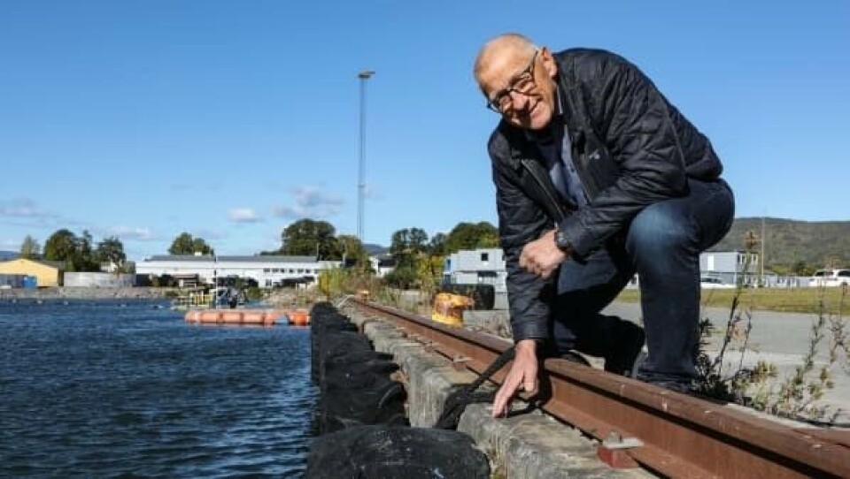 I sommer blir Gilhusbukta friskmeldt: - Helt ren