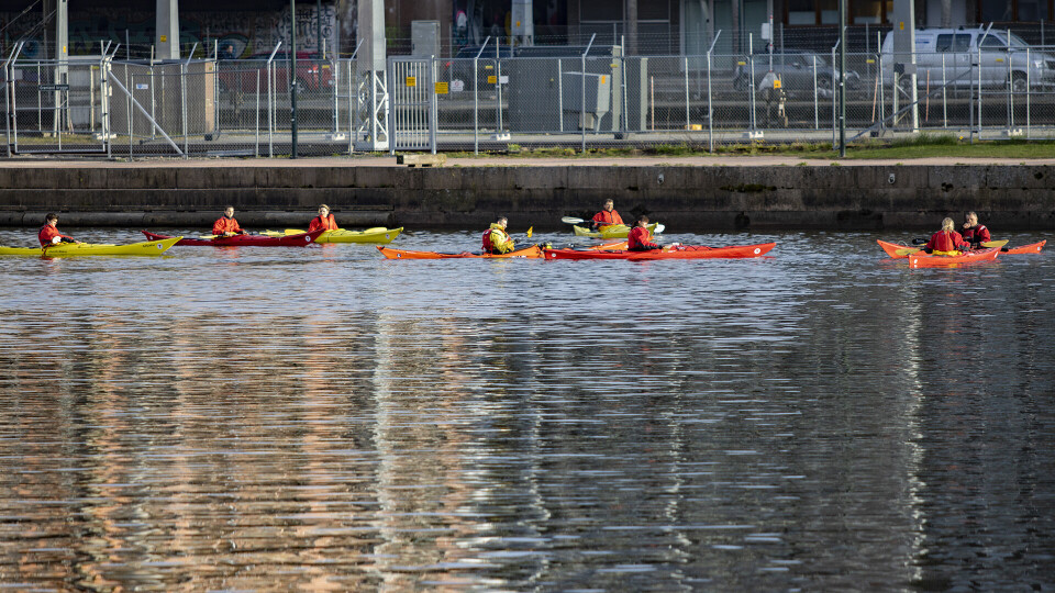 SESONGÅPNING? En gjeng pandlere på Drammenselva utenfor jernbanen tirsdag kveld. (FOTO: ALEXANDER JANSEN / DRM24)