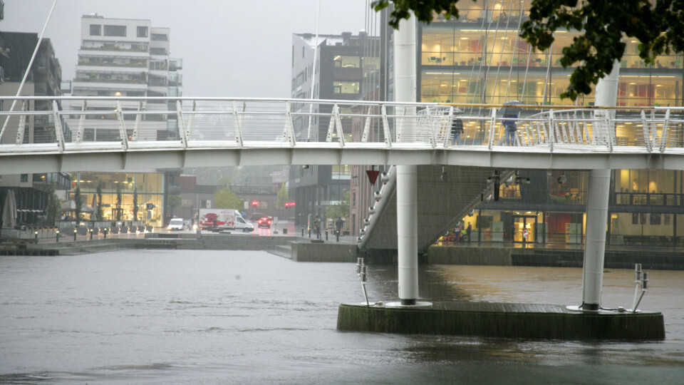 Meteorologen: – Husk paraplyen