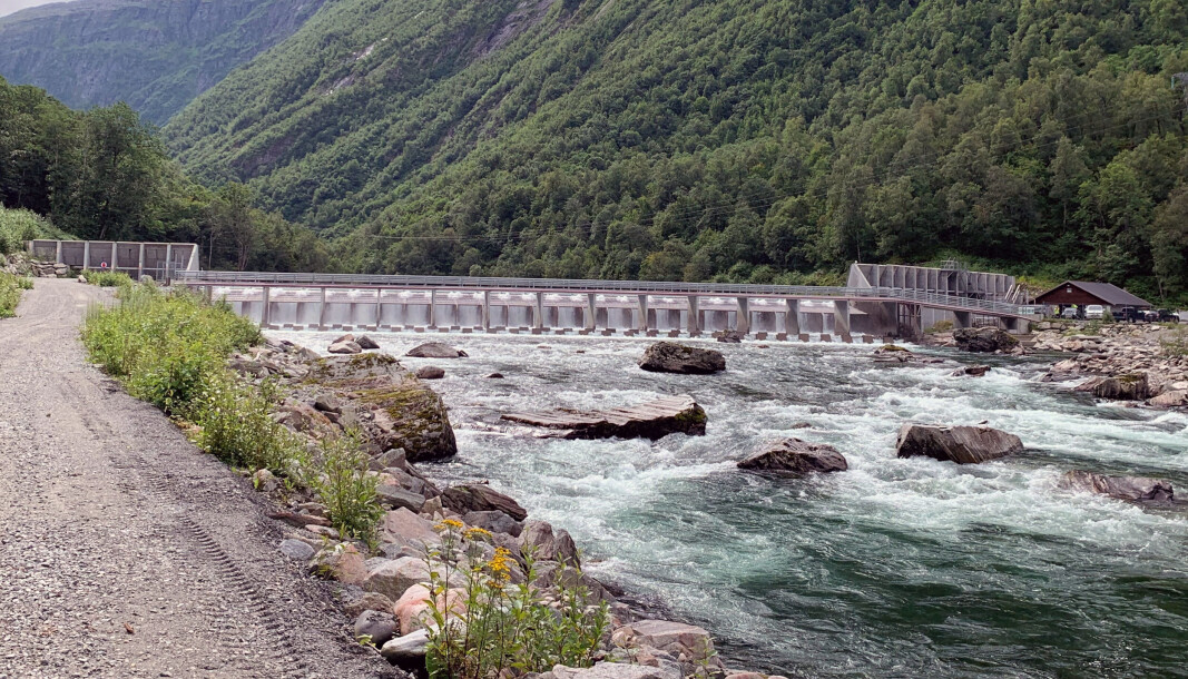 VELLYKKET SPERRE: For å forberede behandlingen mot lakseparasitten Gyrodactylus salaris ble det for seks år siden bygget en fiskesperre i elva Driva. Sperra har funger etter hensikten, og redusert villaksens vandring opp i vassdraget fra 10 til to mil. VELLYKKET SPERRE: For å forberede behandlingen mot lakseparasitten Gyrodactylus salaris ble det for seks år siden bygget en fiskesperre i elva Driva. Sperra har funger etter hensikten, og redusert villaksens vandring opp i vassdraget fra 10 til to mil.