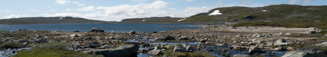 Tørreste året i Sør-Norge på 21 år