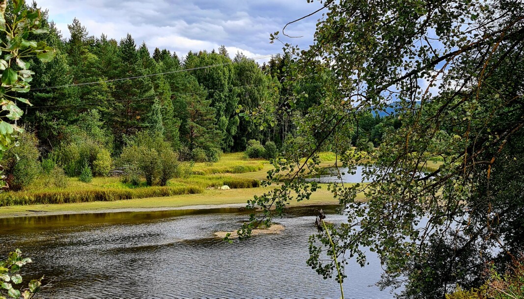 <span class=" italic" data-lab-italic_desktop="italic"><span class=" font-weight-bold" data-lab-font_weight_desktop="font-weight-bold">UTILGJENGELIG:</span> Hagaøya.</span> <span class=" italic" data-lab-italic_desktop="italic"><span class=" font-weight-bold" data-lab-font_weight_desktop="font-weight-bold">UTILGJENGELIG:</span> Hagaøya.</span>