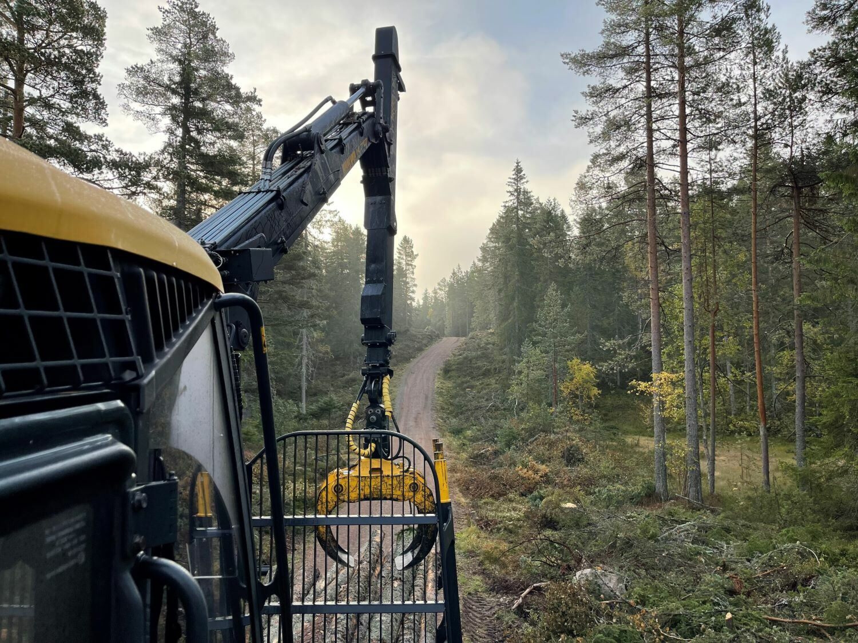 Renoverer skiløype