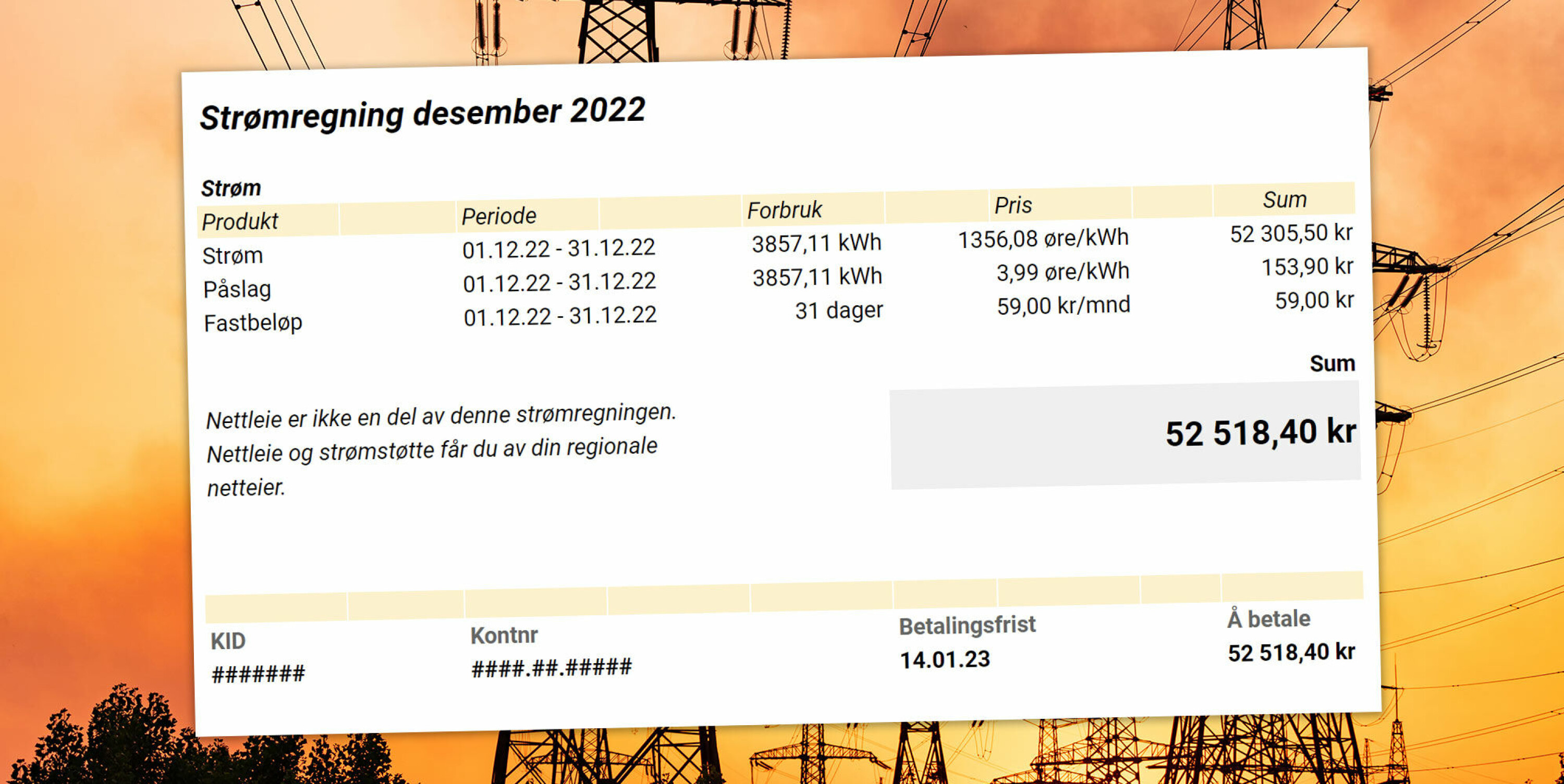 Strømstøtten kommer sammen med nettleie. Dette kan bli et problem for de som mottar nettleie på egen faktura.