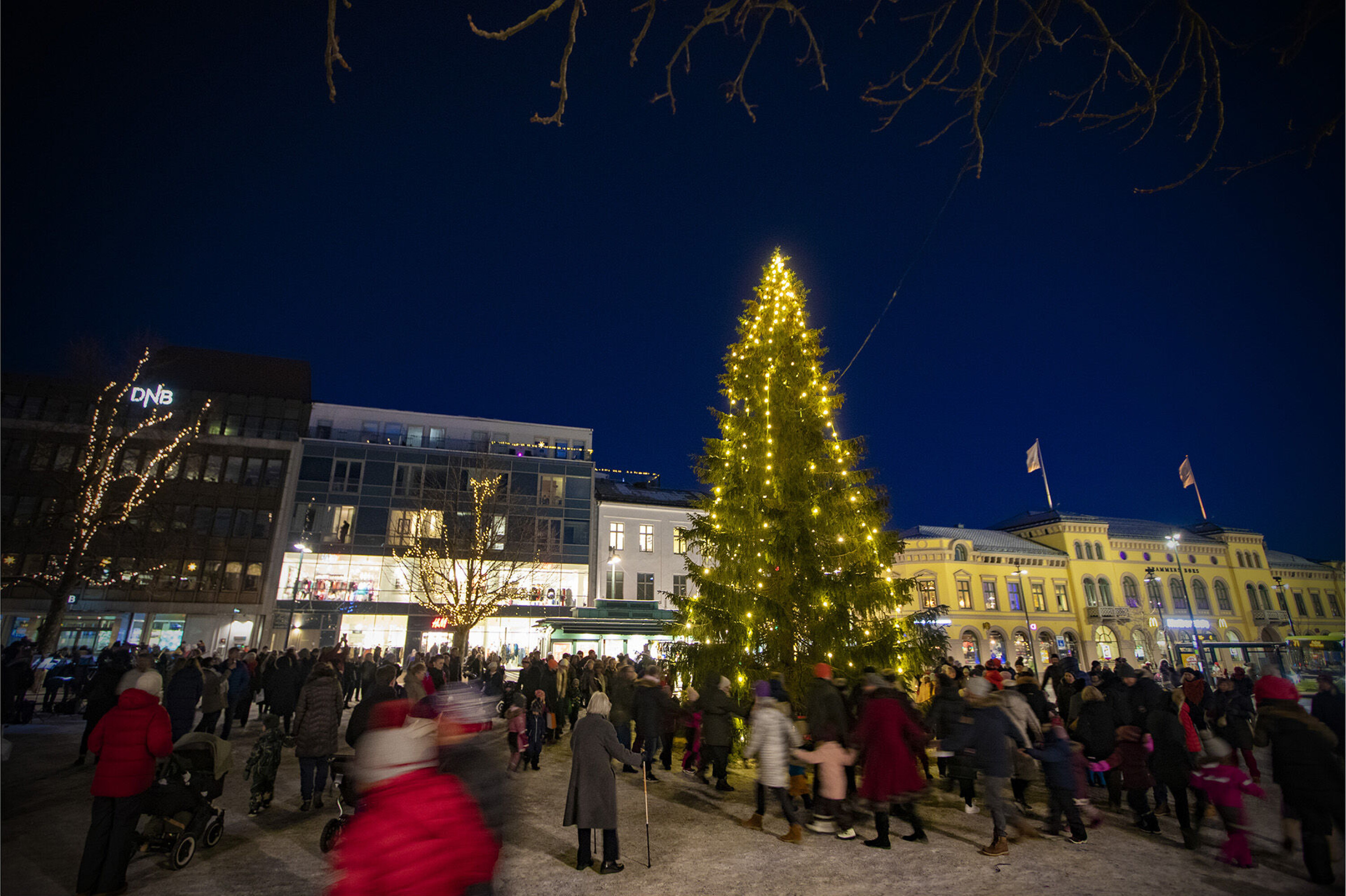 Billett mrk.: Fine juletrær til torgutstilling søkes