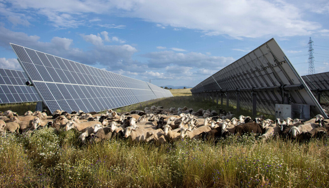Talayuela solpark i Spania, utviklet av Statkraft. Talayuela solpark i Spania, utviklet av Statkraft.
