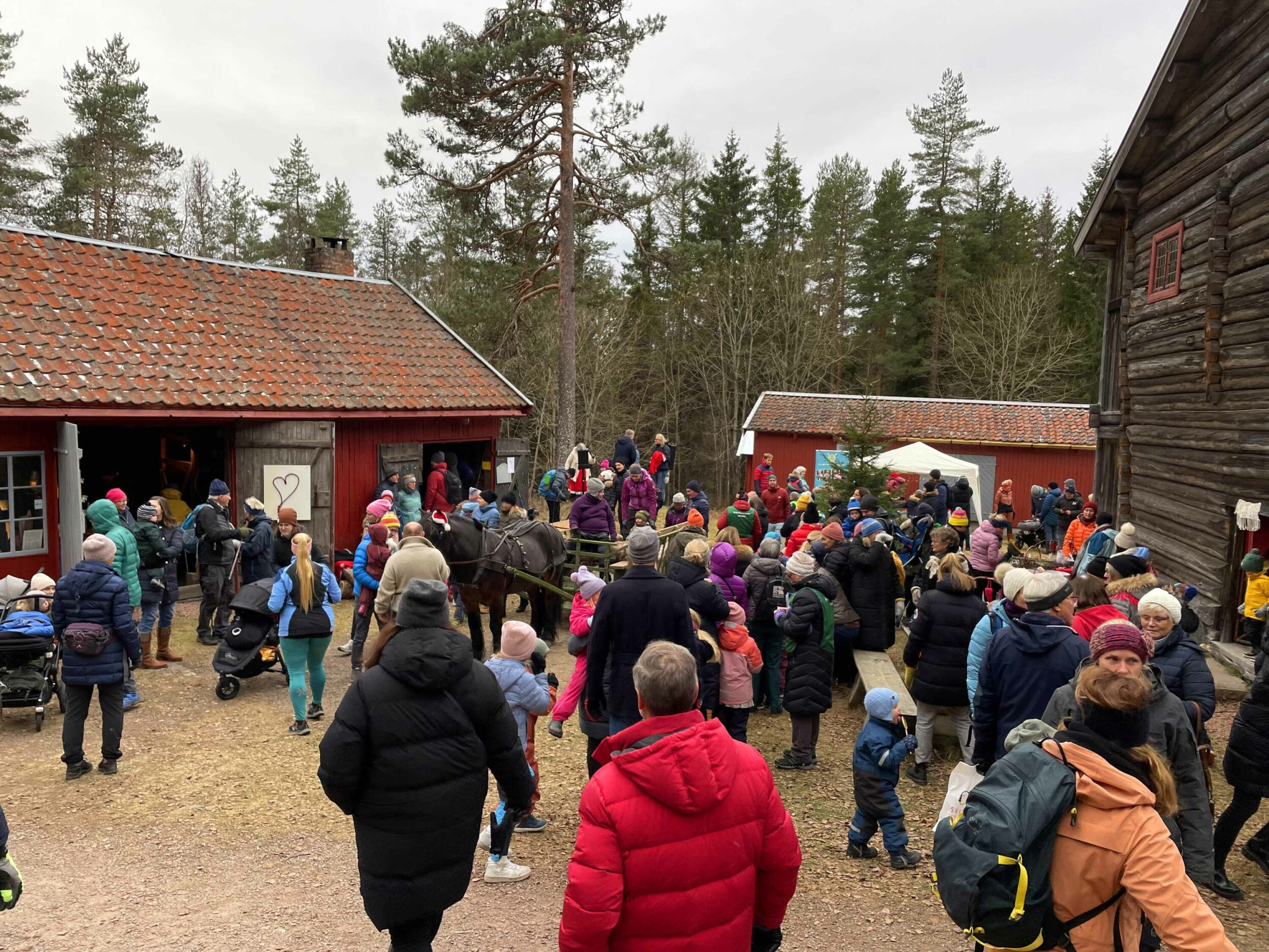 Folkevandring til Friluftsmuseet