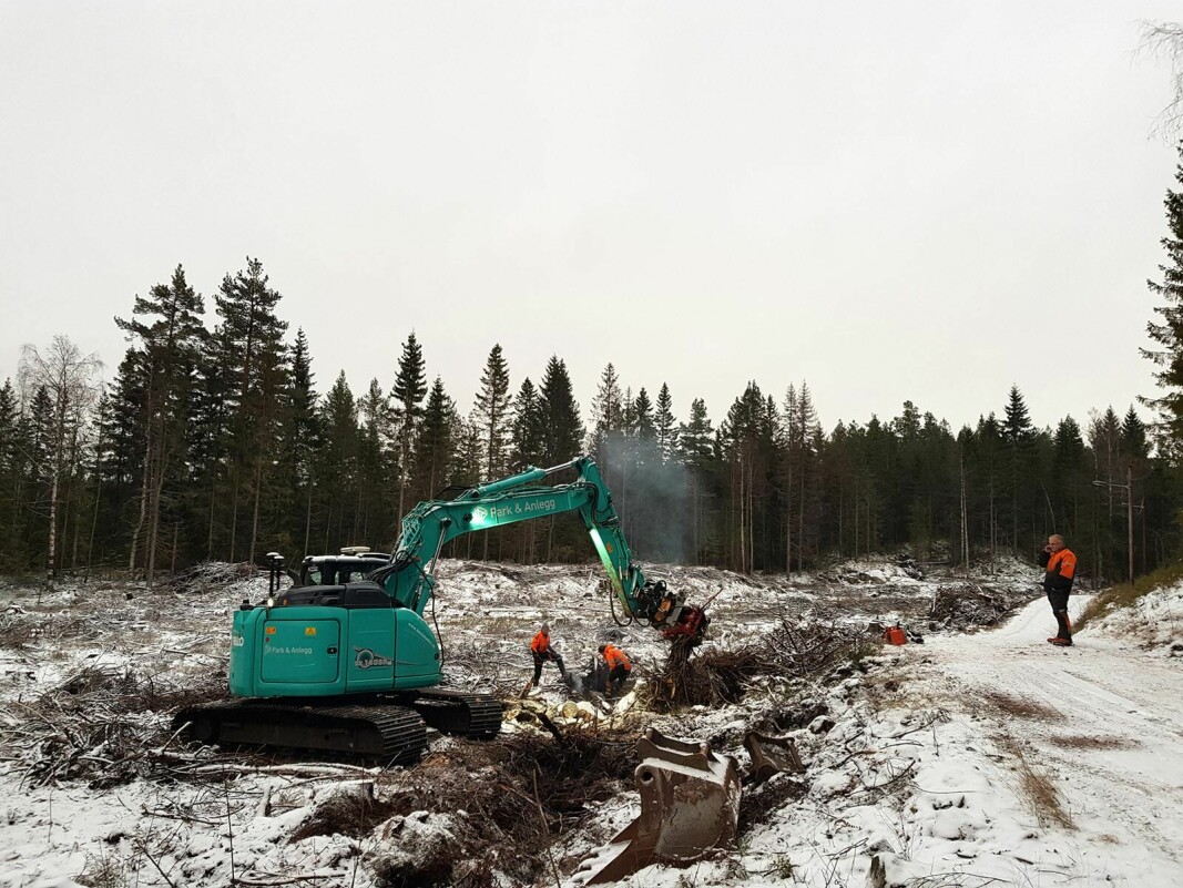 Arbeidene vest for Hvalsdammen startet forrige uke og forventes å være ferdig senest i uke 49.
