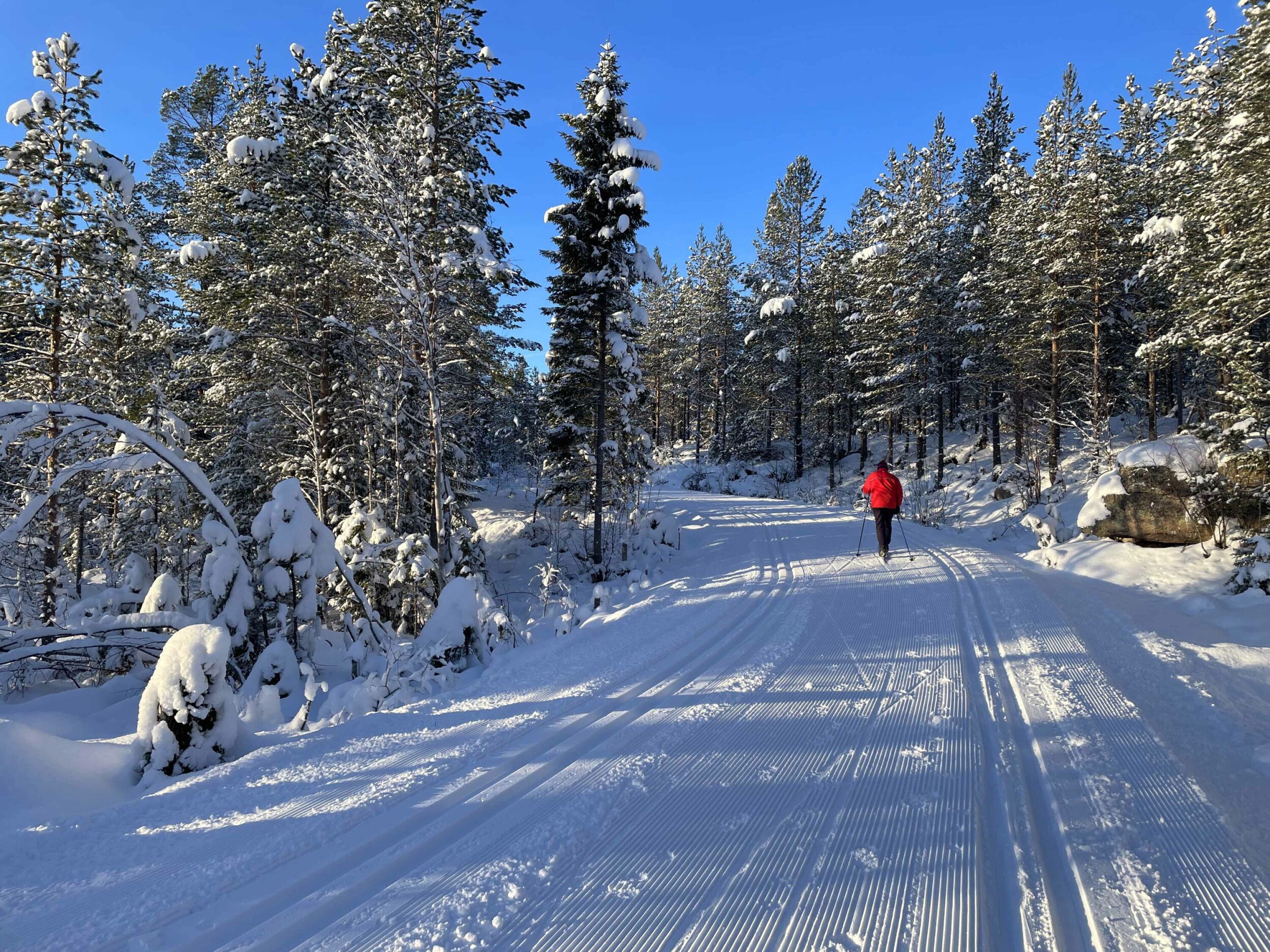 Flotte skiforhold på skogsbilveien mellom Vrangen og Solbergvannet.