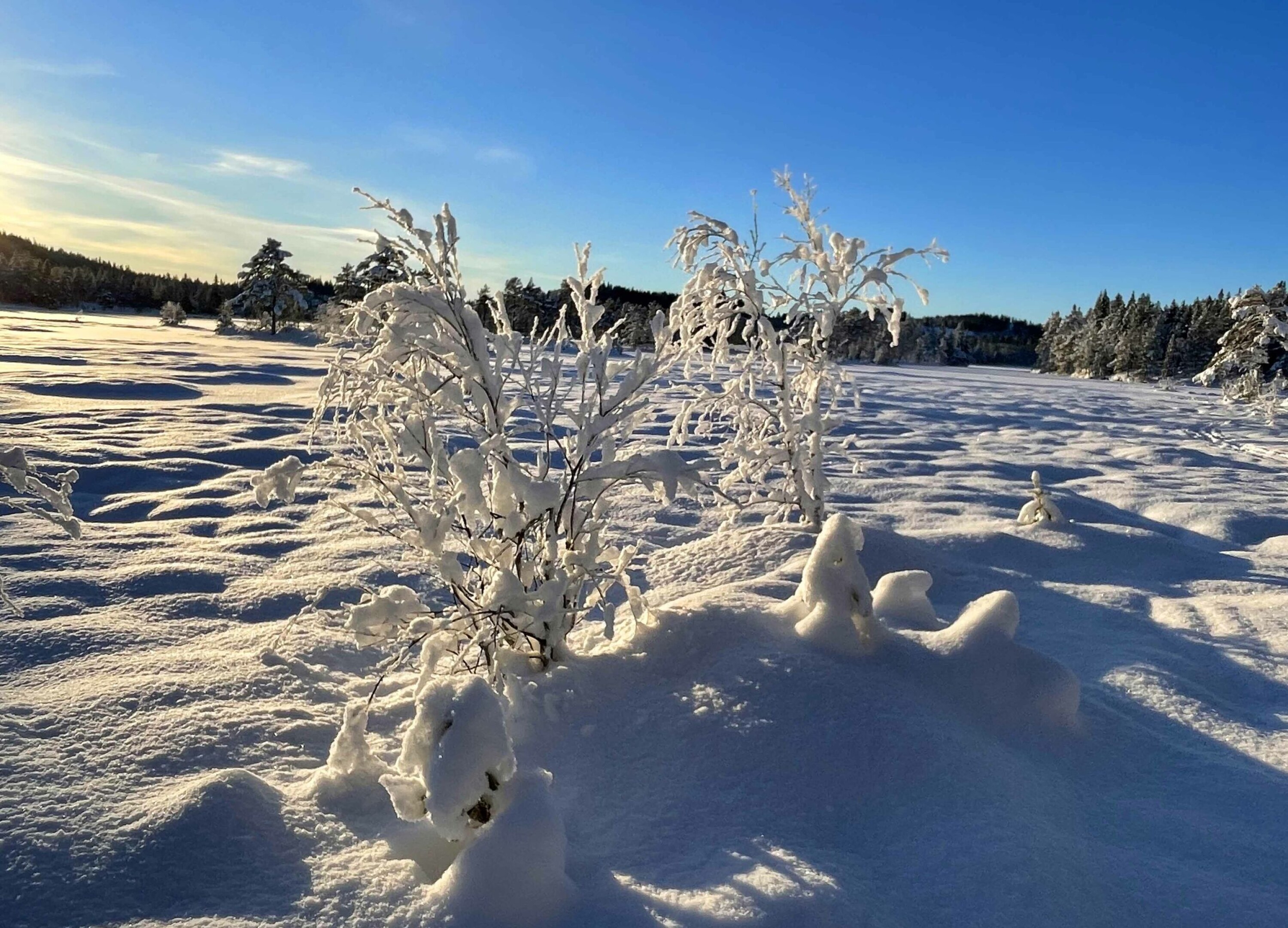 Vinteridyll ved Solbergvannet.