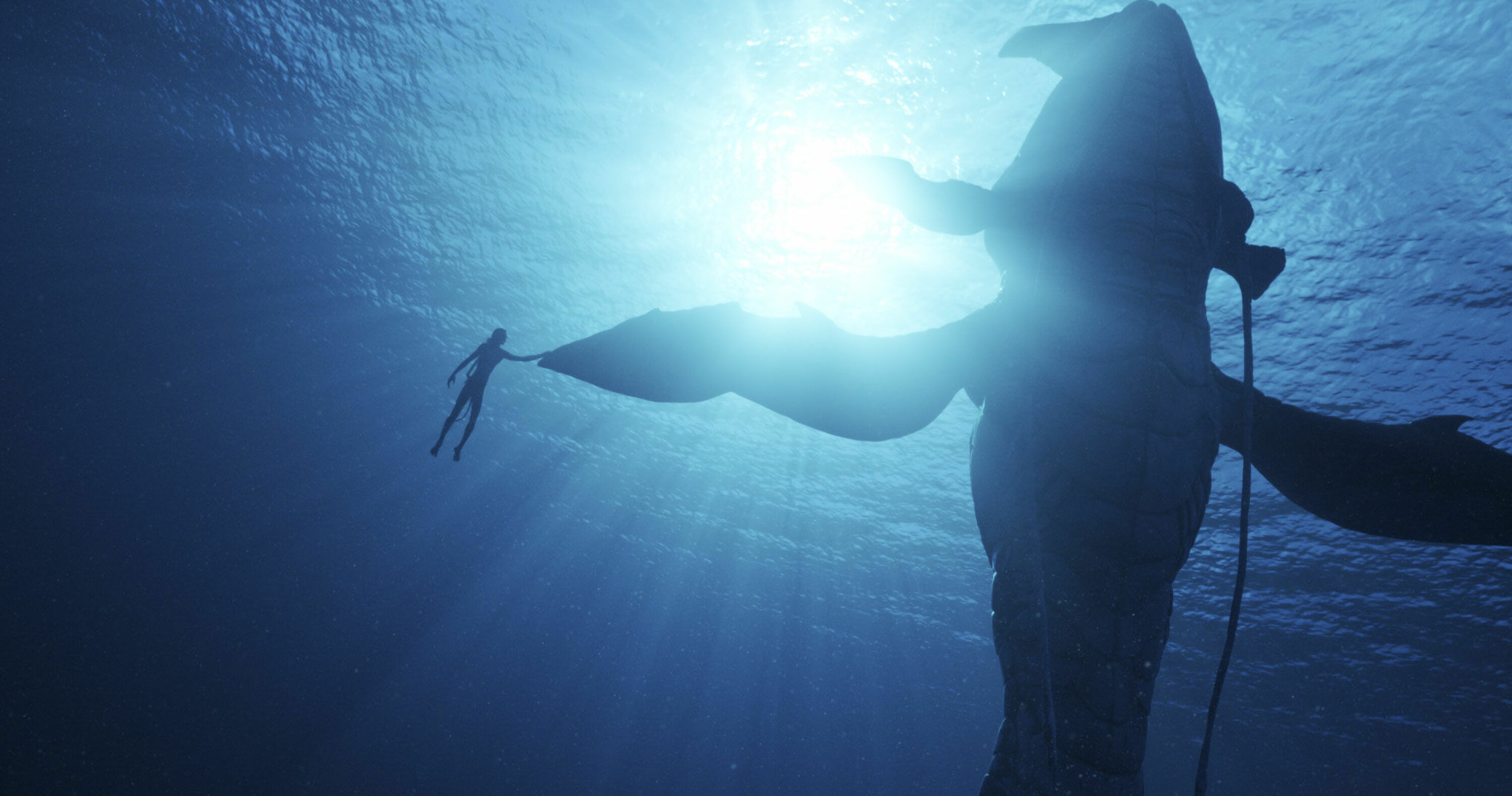 Et av flere nye storslåtte aquatiske dyr som filmen introduserer