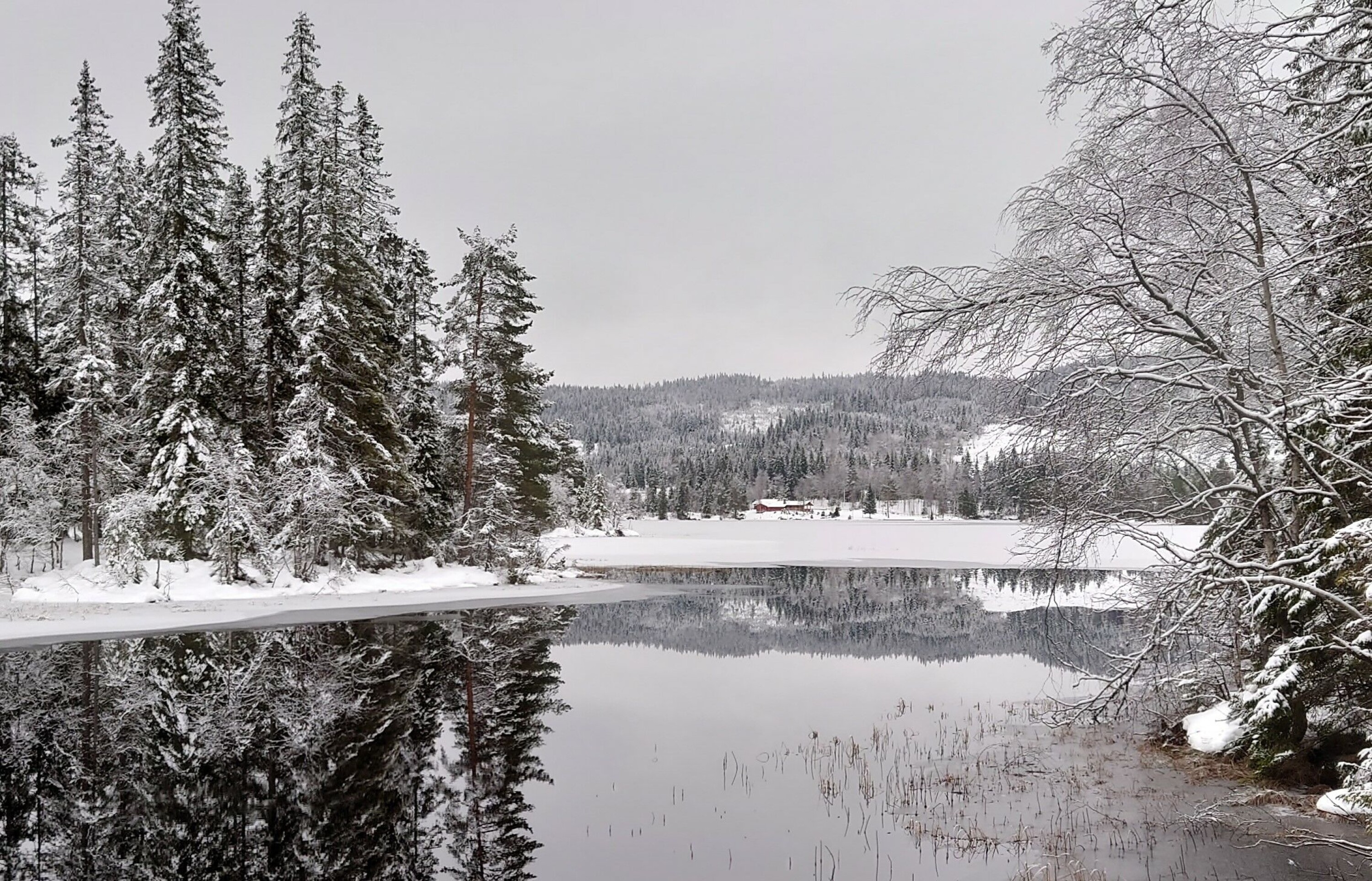 Tapper ned skogsvann - innfører ferdselsforbud