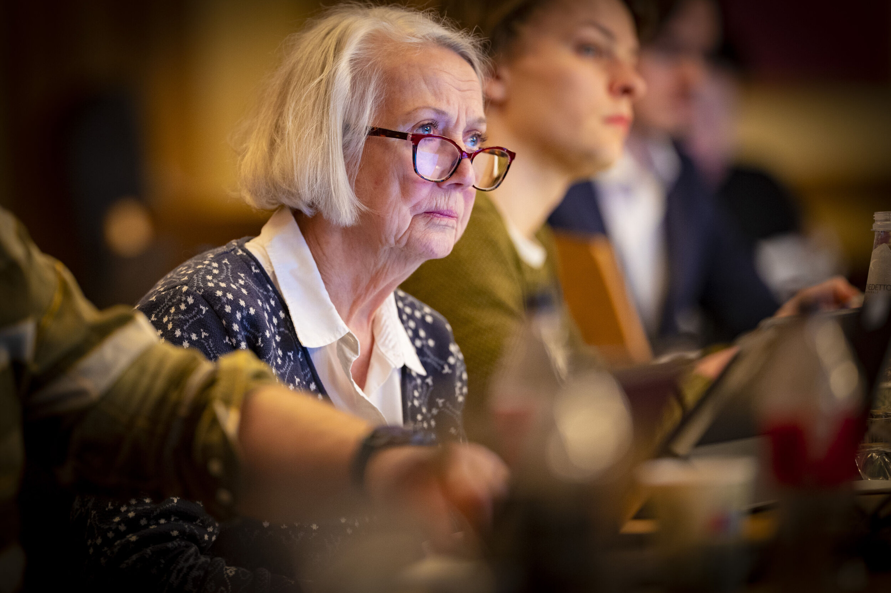 UT MOT «BETONGMUR»: MDG's Kari Palm ville ha fortetting, men ikke «gjentetting» på Brakerøya. - Det er to vidt forskjellige ting, tordnet Palm. UT MOT «BETONGMUR»: MDG's Kari Palm ville ha fortetting, men ikke «gjentetting» på Brakerøya. - Det er to vidt forskjellige ting, tordnet Palm.
