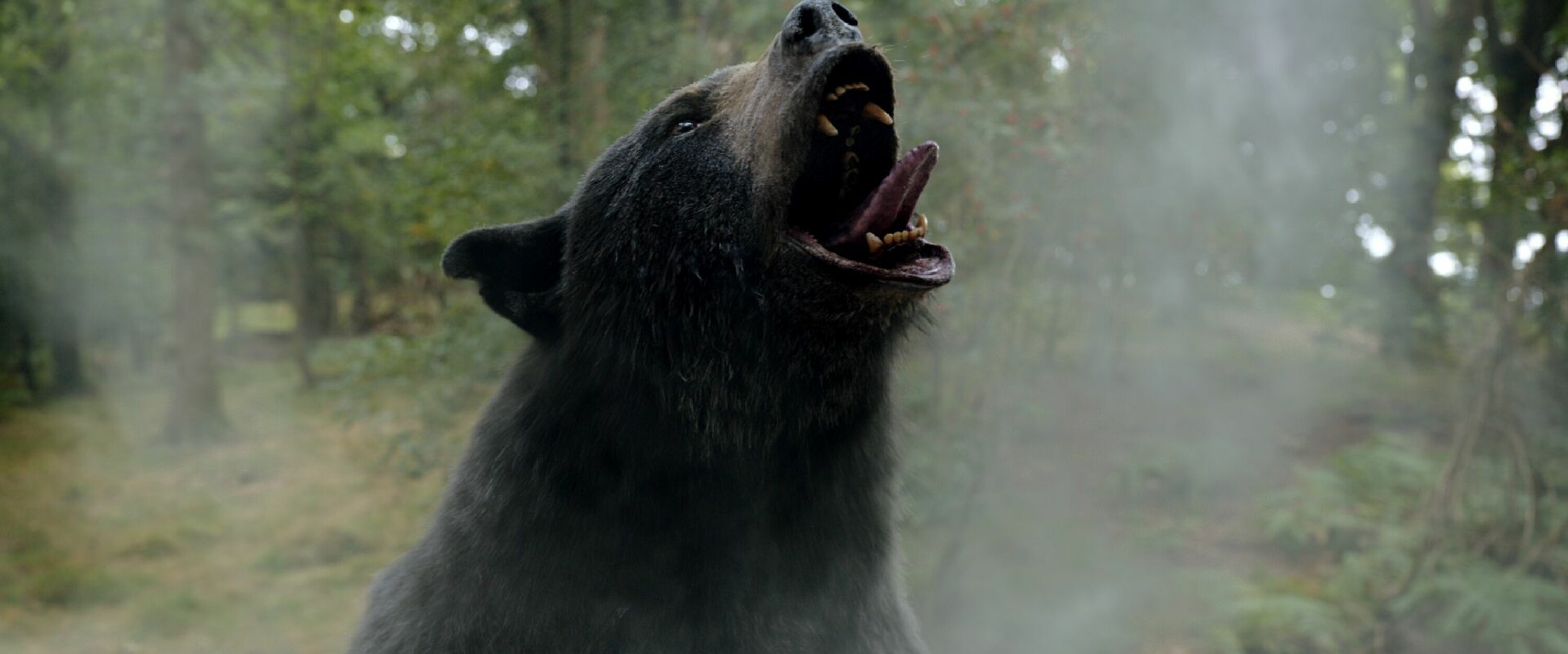 HVA SKJULER SEG I DEN HVITE VINDEN?: Avhengigheten får frem bjørnens mørke sider