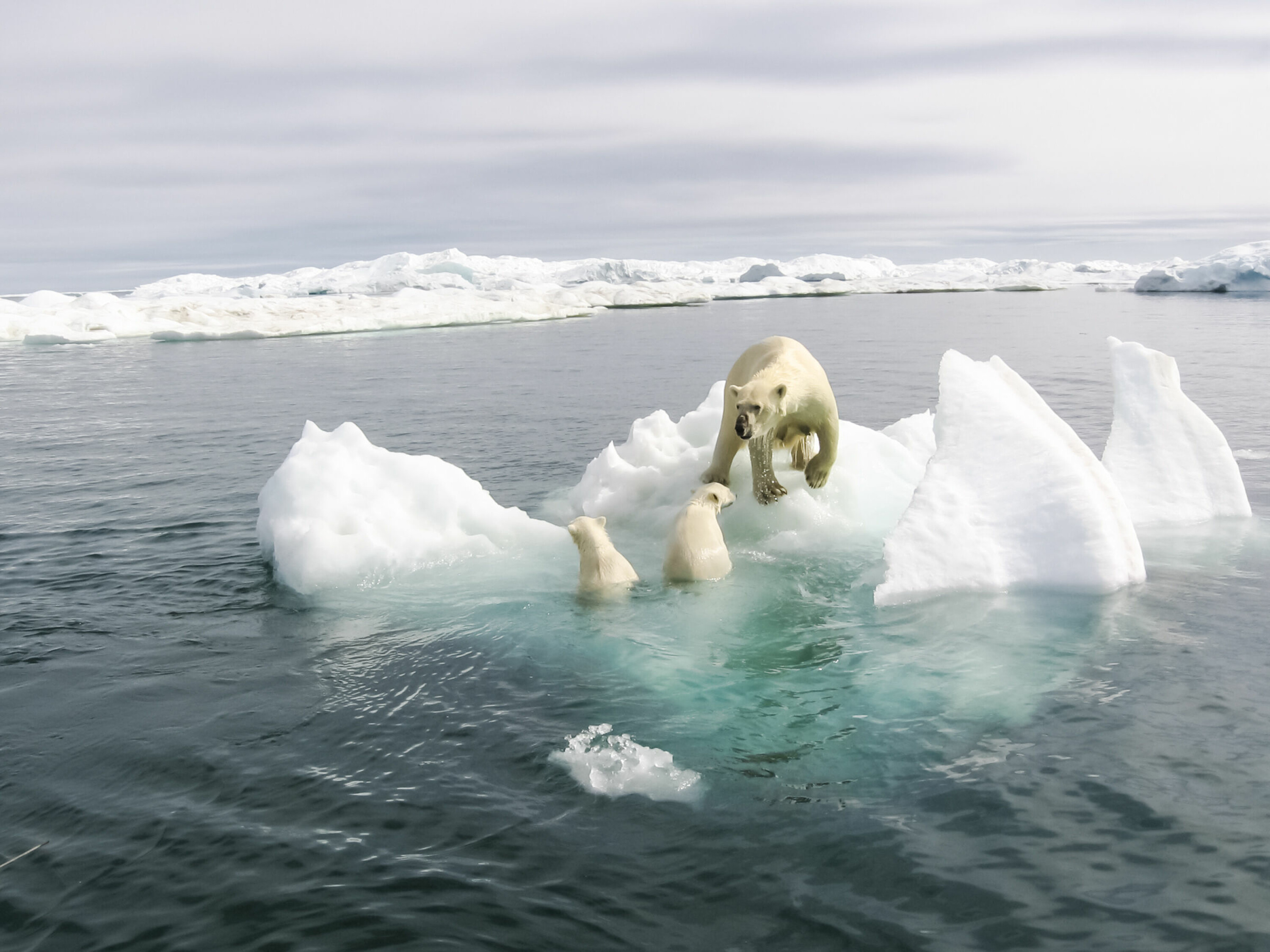REKORDLITE IS: Iskanten ligger uvanlig langt nord for Svalbard i forhold til normalen og det er svært uvanlig med stort sett isfrie forhold rundt Svalbard i februar, ifølge Meteorologisk Institutt.